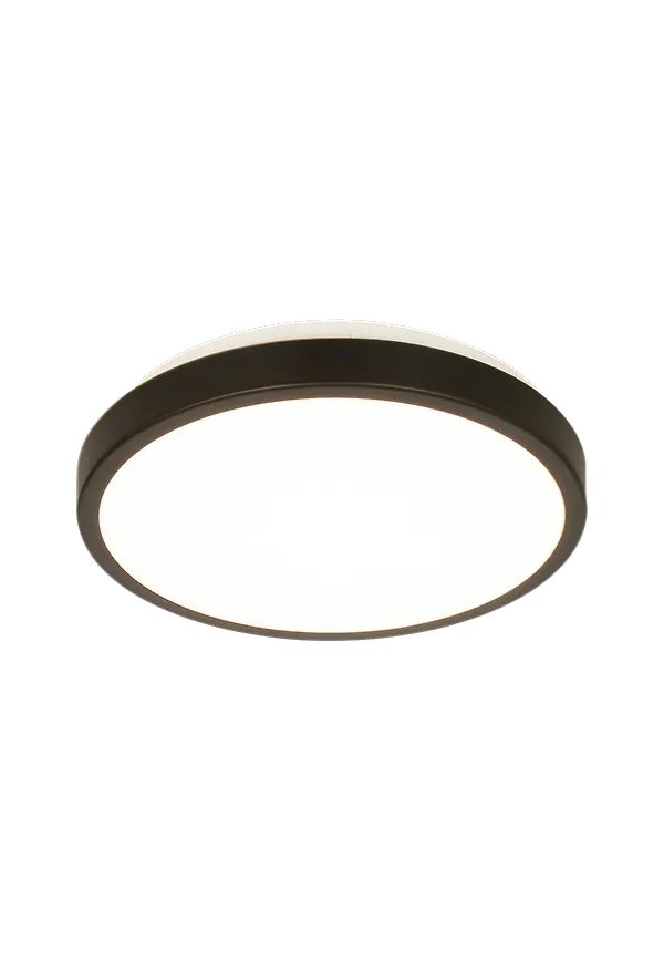 Svart taklampa som passar perfekt till våren 2025!