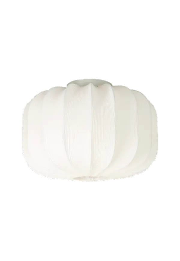 Riktigt fin taklampa 2025 från Aneta Lighting.