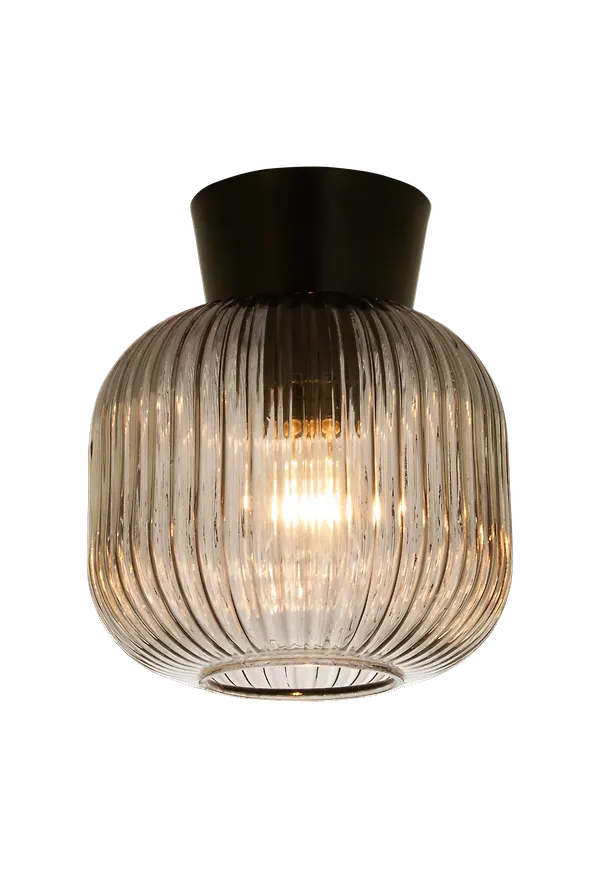 Riktigt snygg taklampa 2025 från Aneta Lighting.