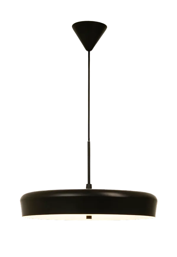 Moderiktig svart taklampa 2025 från Aneta Lighting.