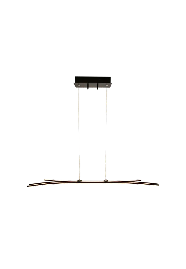 Smickrande taklampa i svart från Aneta Lighting.