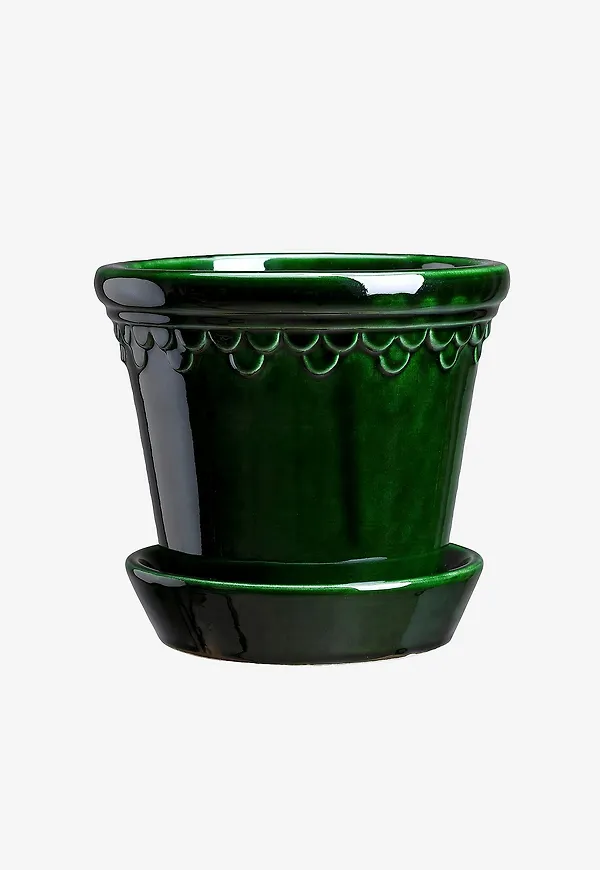 Grön kruka som passar perfekt till sommaren 2025!