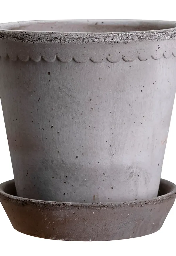 Grå kruka som passar perfekt till våren 2025!