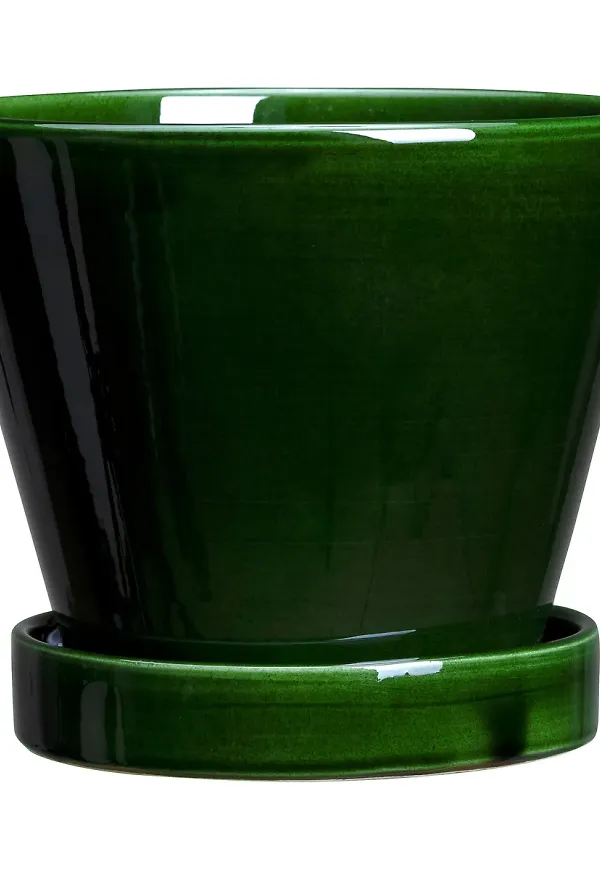 Elegant grön kruka 2025 från Bergs Potter.