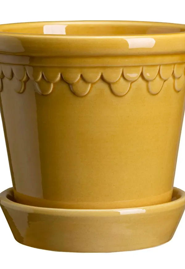 Stilriktig kruka 2025 från Bergs Potter.