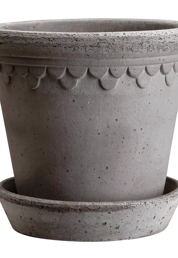 Smickrande kruka 2025 från Bergs Potter.