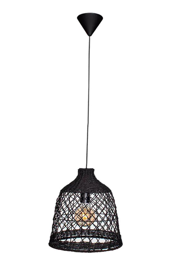 Otroligt snygg svart taklampa 2025 från By Rydéns.