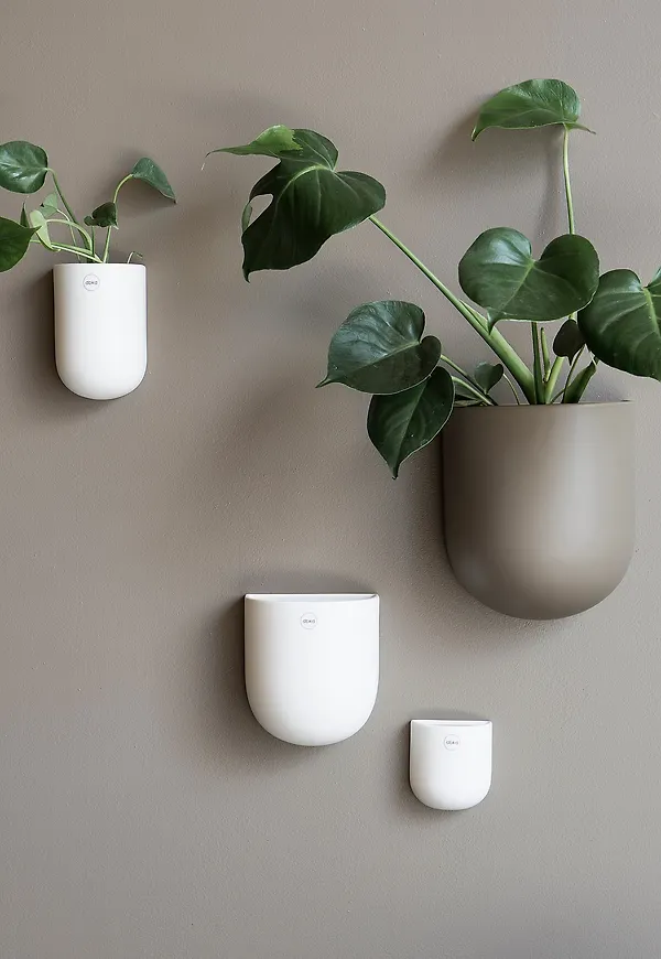 Väggkruka som passar perfekt till sommaren 2025!