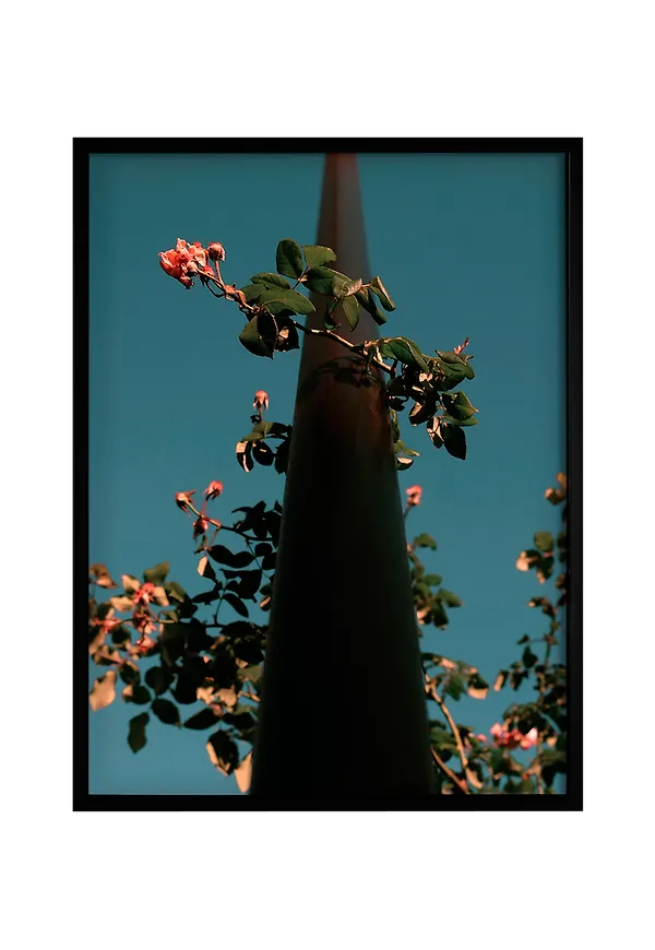 Skön ekram 2025 från Democratic Gallery.