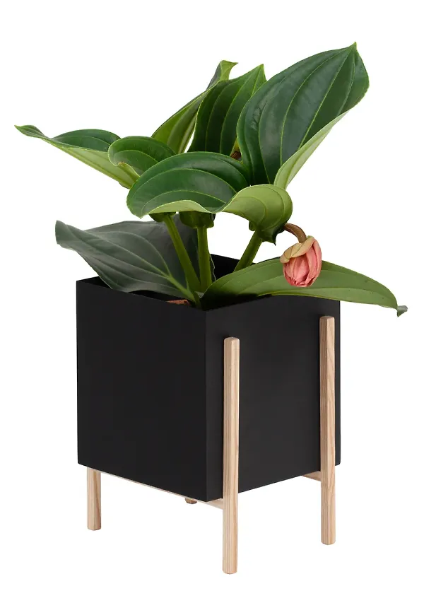 Svart Design House Stockholm-kruka i riktigt fin modell.