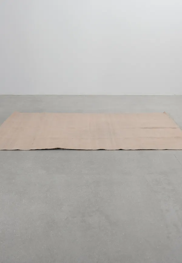 Smickrande beige matta 2025 från Dixie.