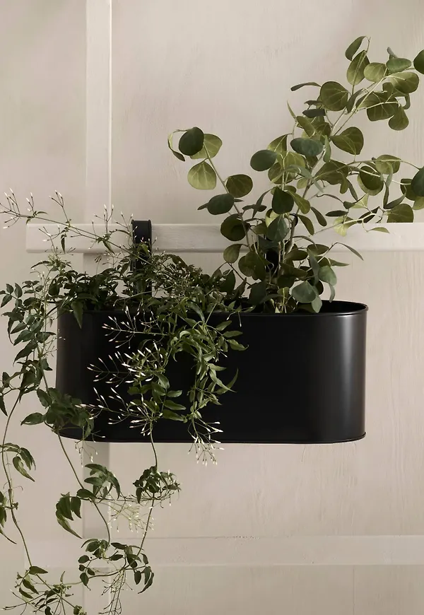 Härlig blomlåda 2025 från Ellos.