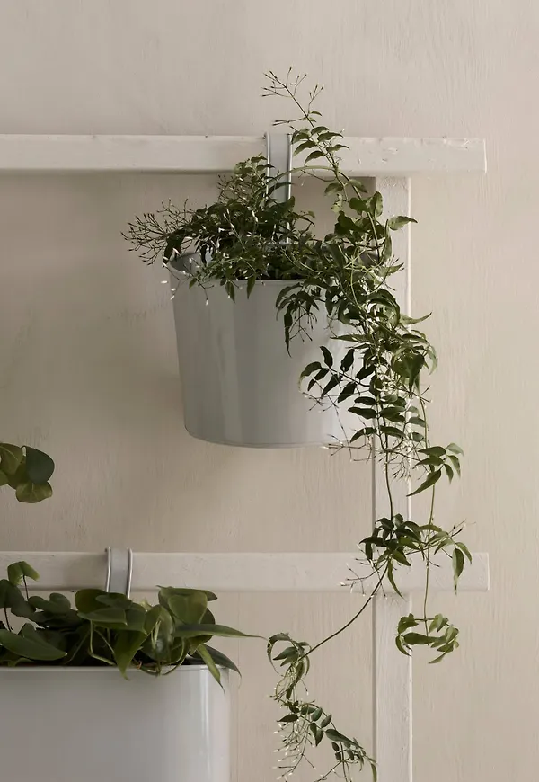 Klassisk hängare 2025 från Ellos.