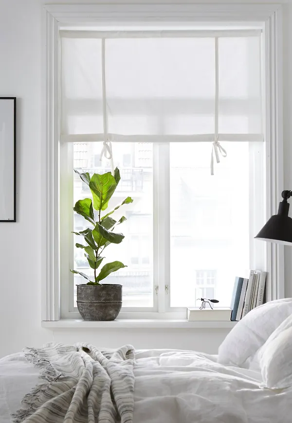 Jättefin hissgardin 2025 från Ellos.