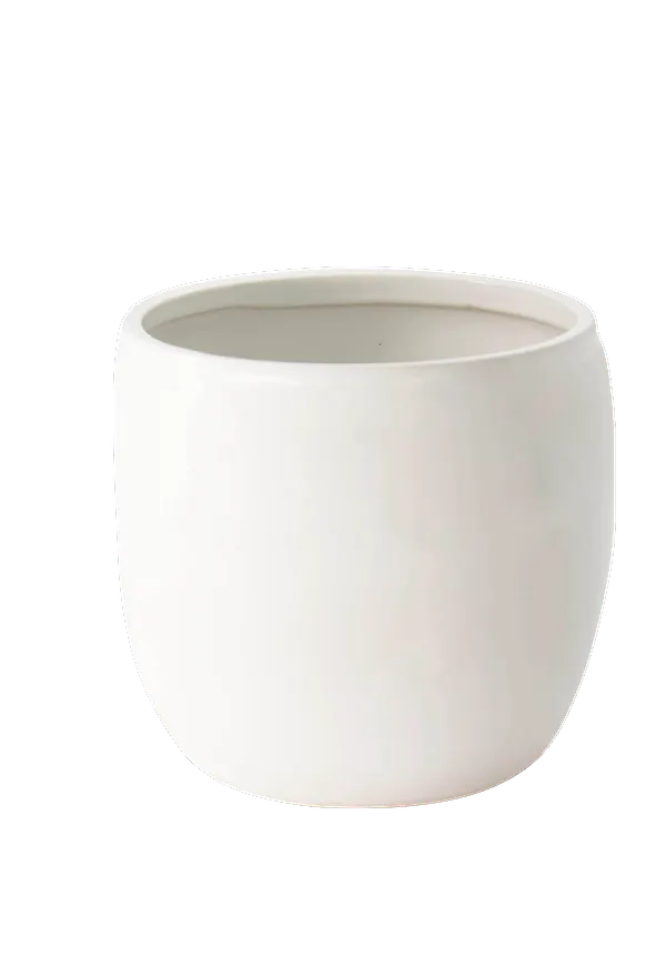 Otroligt fin kruka 2025 från ERNST.