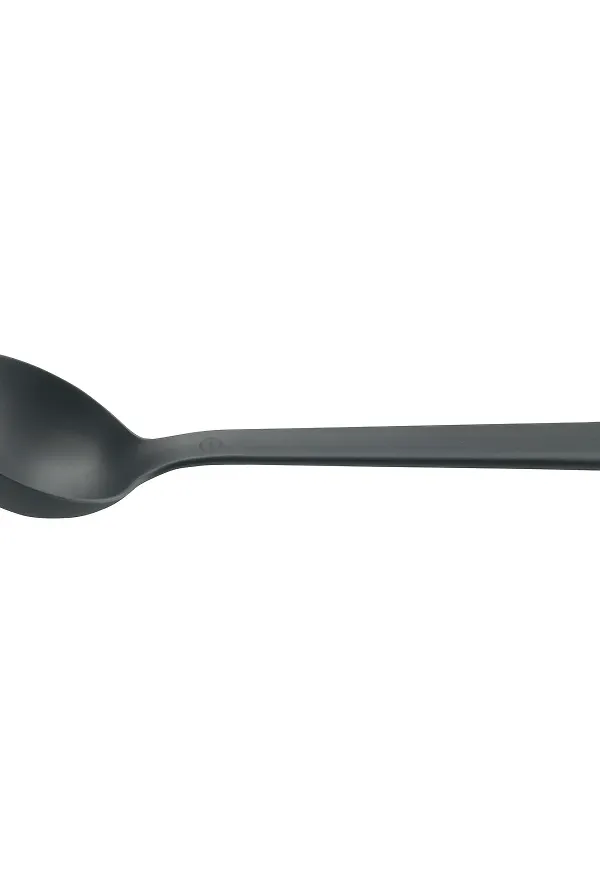 Stilriktig slev i svart från Eva Solo.