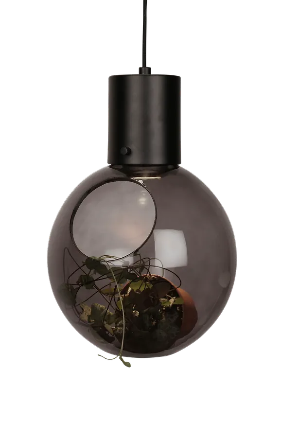 Fönsterlampa som passar perfekt till våren 2025!