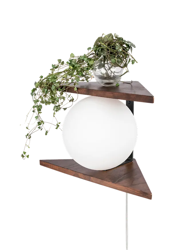 Vägglampa som passar perfekt till våren 2025!