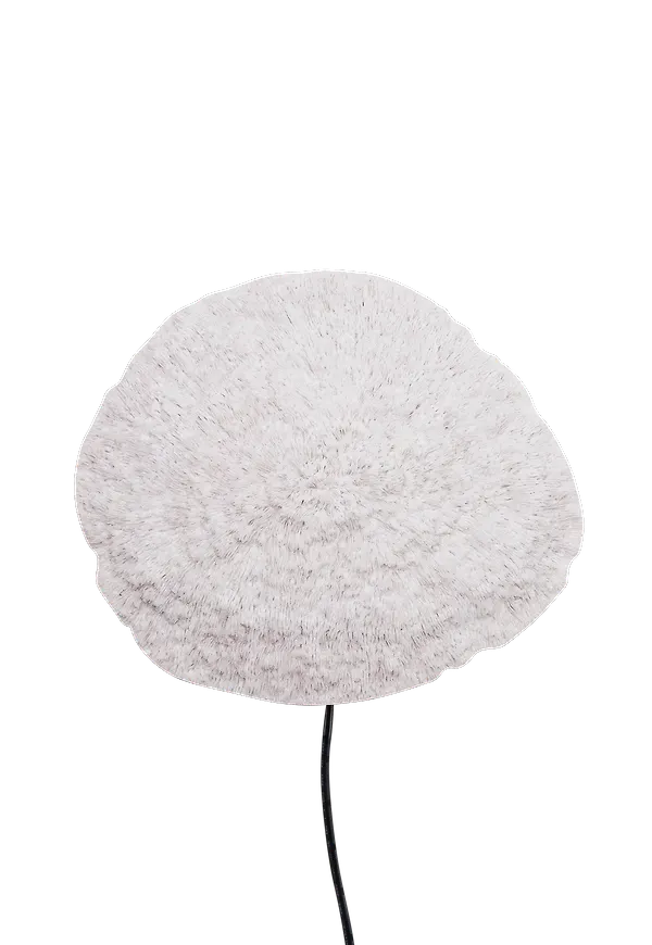 Klassisk vägglampa 2025 från Globen Lighting.