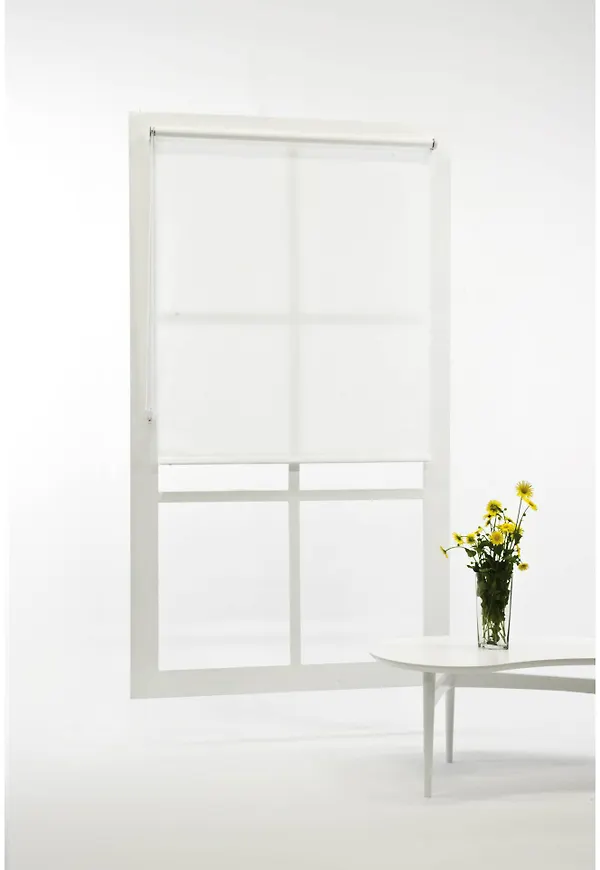 Jättefin gardin 2025 från Hasta.