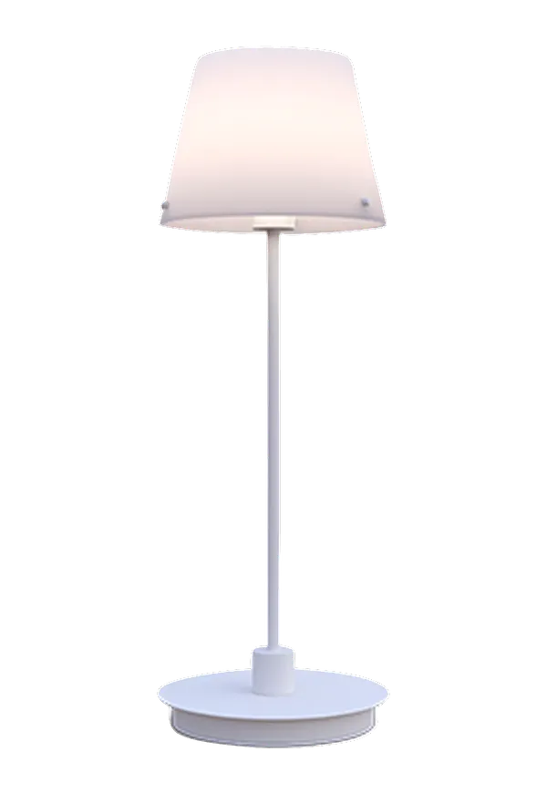 Fantastiskt fin Lampa som passar bra vid många olika tillfällen.