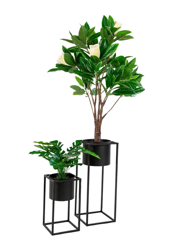 Svart House Nordic-blomkruka i elegant modell.