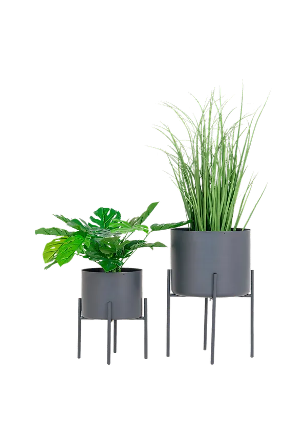 Grå House Nordic-kruka i ikonisk modell.