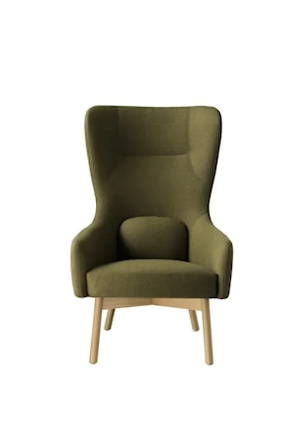 Modern fåtölj 2025 från FDB Møbler.