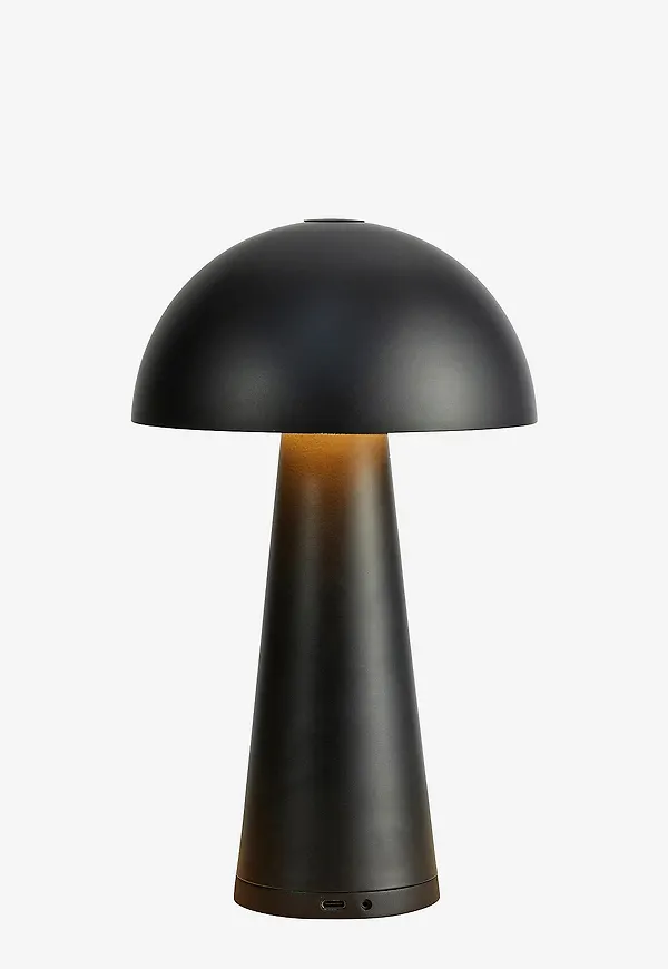 Fantastiskt snygg markslöjd lampa i svart färg gjord i järn.