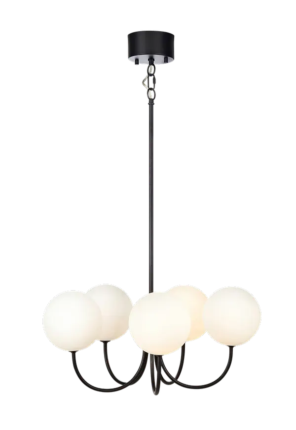 Svart taklampa som passar perfekt till våren 2025!