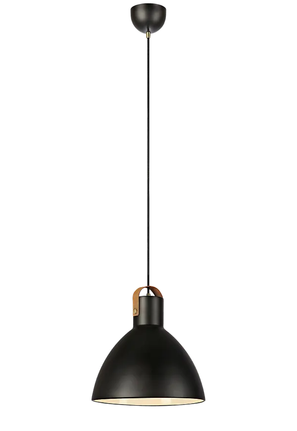 Svart taklampa som passar perfekt till våren 2025!