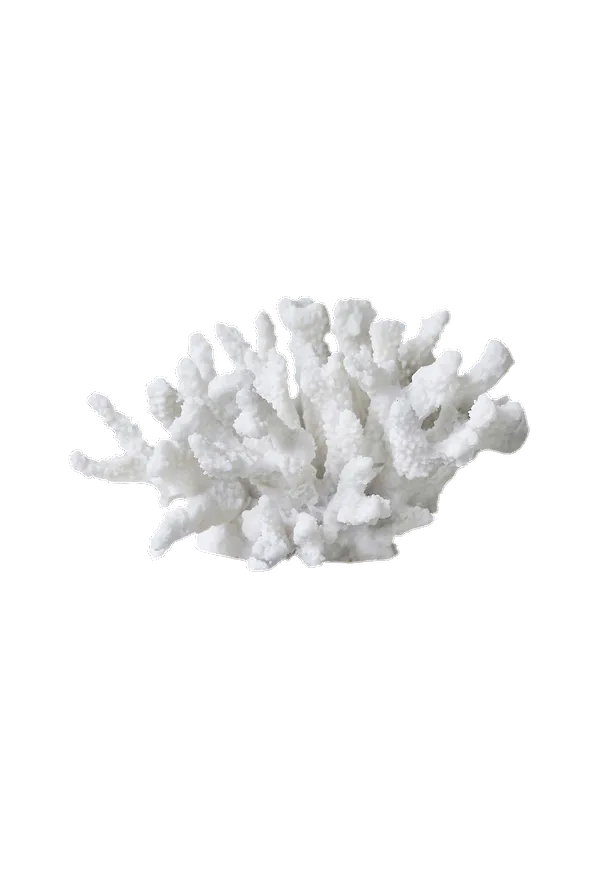 Supersnygg grupp i vitt från Mette Ditmer.