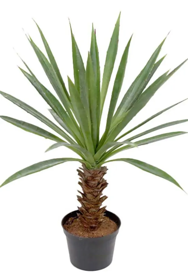 Grön Mr Plant-konstväxt i ikonisk modell.