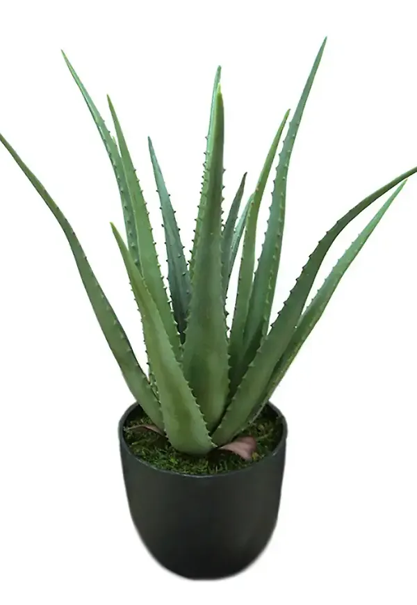 Klassisk konstgjord växt 2026 från Mr Plant.