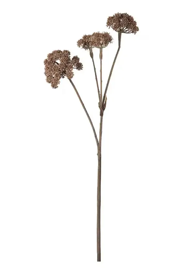 Fantastiskt fin konstväxt 2026 från Mr Plant.
