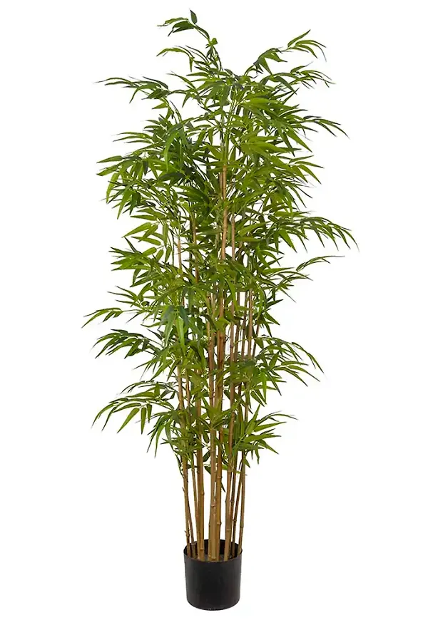 Riktigt trendig konstgjord växt 2026 från Mr Plant.