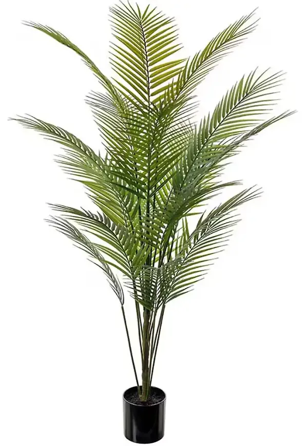 Klassisk konstväxt i grönt från Mr Plant.