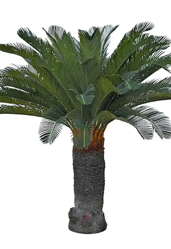 Klassisk konstväxt 2026 från Mr Plant.