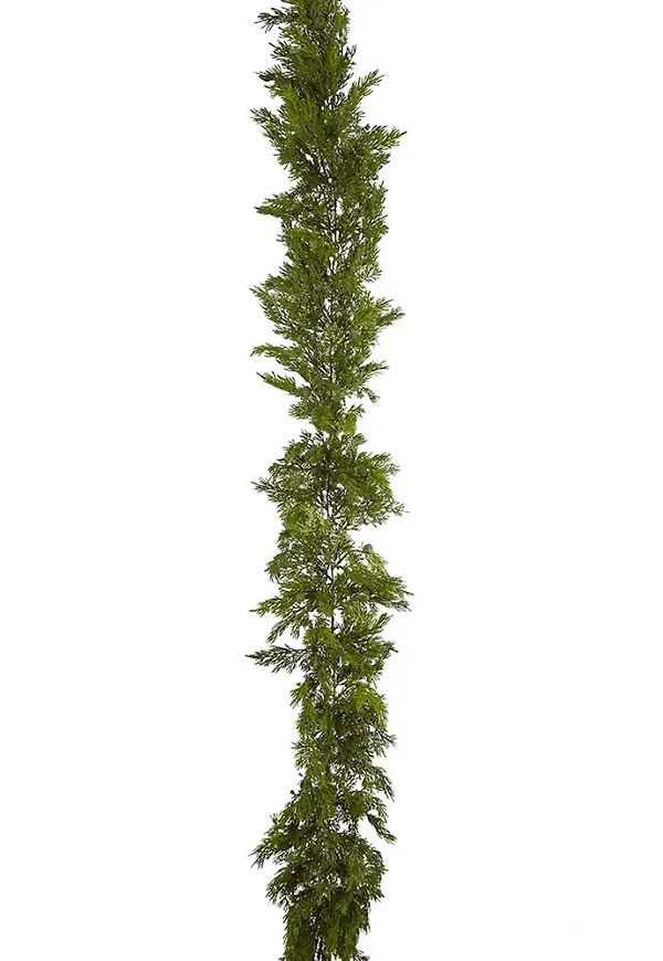 Snygg konstväxt 2026 från Mr Plant.