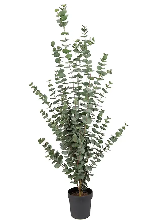 Fantastiskt fin konstgjord växt 2026 från Mr Plant.