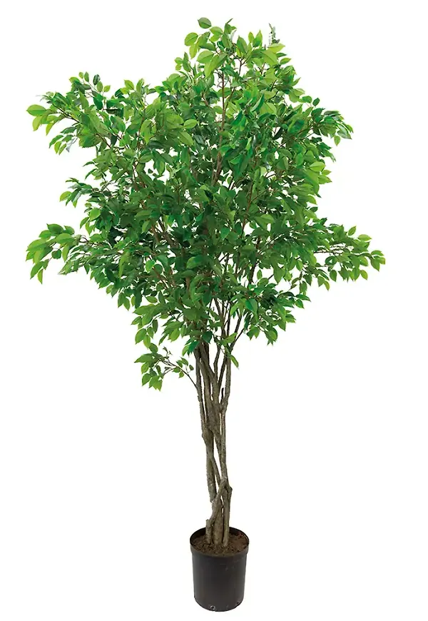 Vacker konstgjord växt 2026 från Mr Plant.