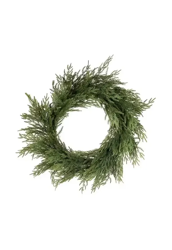 Jättesnygg konstväxt 2026 från Mr Plant.