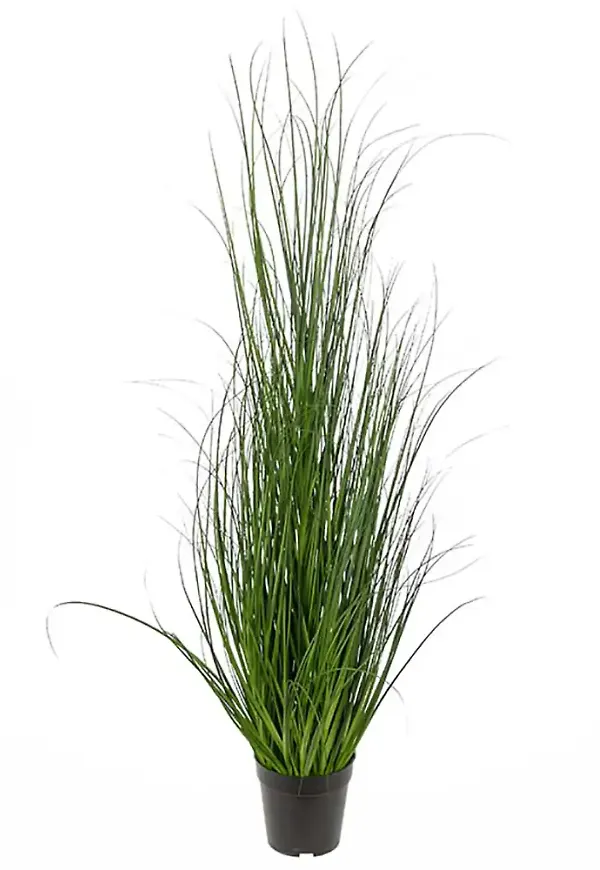 Jättesnygg konstväxt i grönt från Mr Plant.