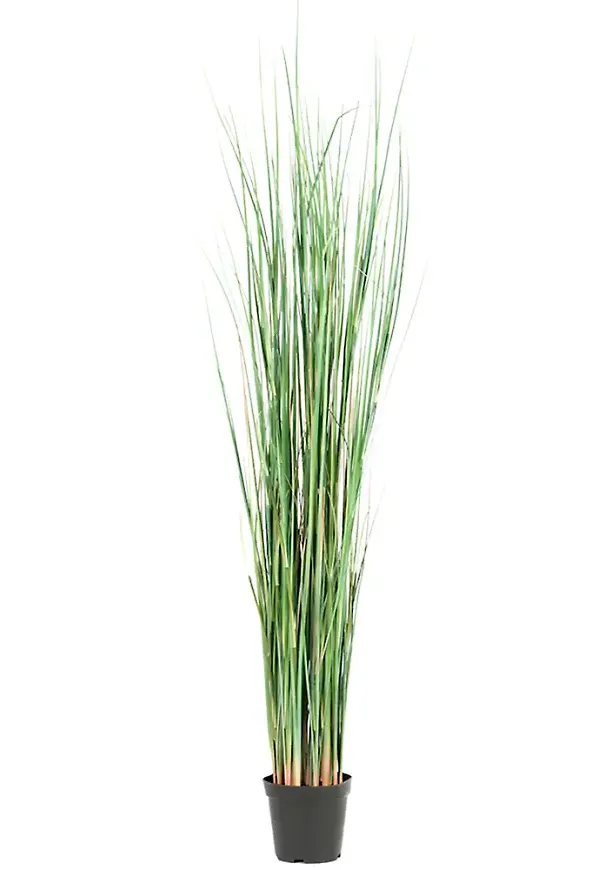 Mysig konstgjord växt i grönt från Mr Plant.