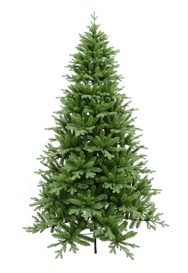 Riktigt fin konstväxt 2026 från Mr Plant.