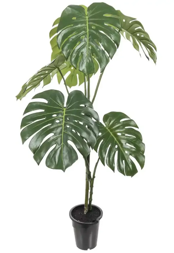 Snygg konstväxt i grönt från Mr Plant.