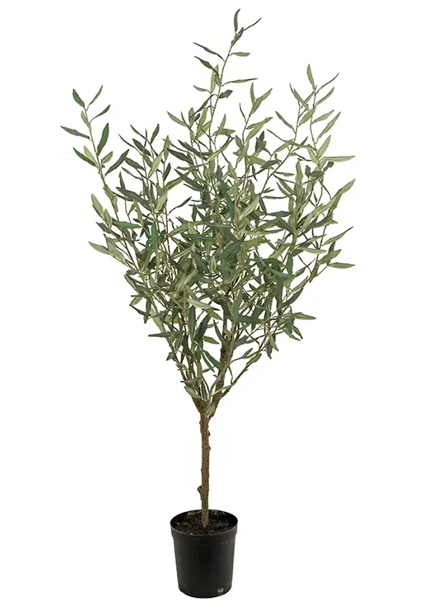 Grön Mr Plant-konstväxt i jättesnygg modell.