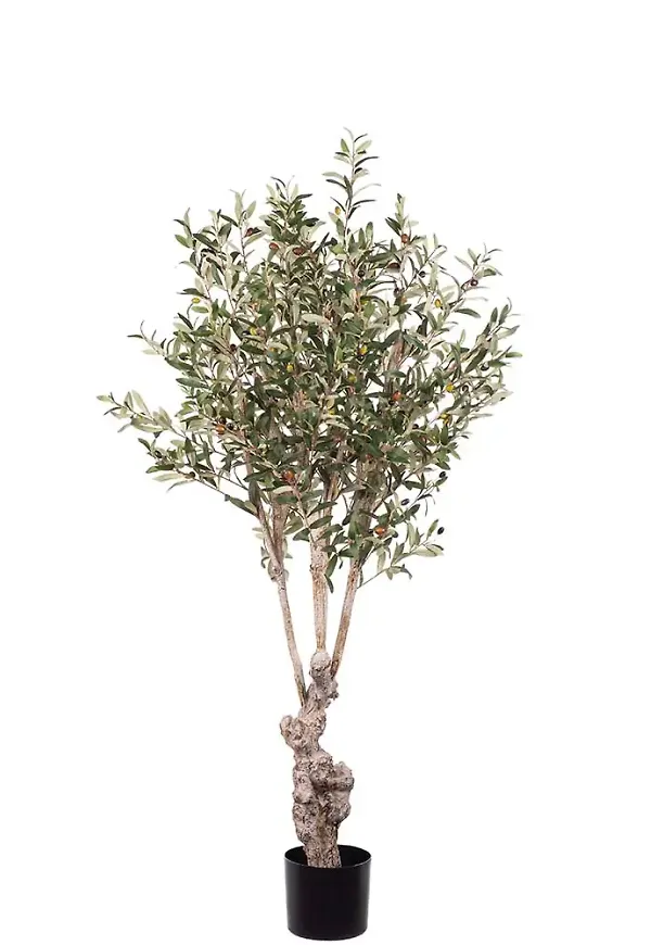 Smickrande konstgjord växt 2026 från Mr Plant.