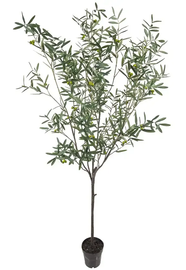Skön konstväxt i grönt från Mr Plant.