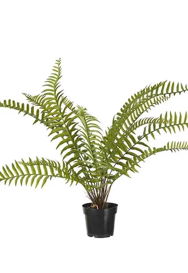 Cool konstväxt i grönt från Mr Plant.